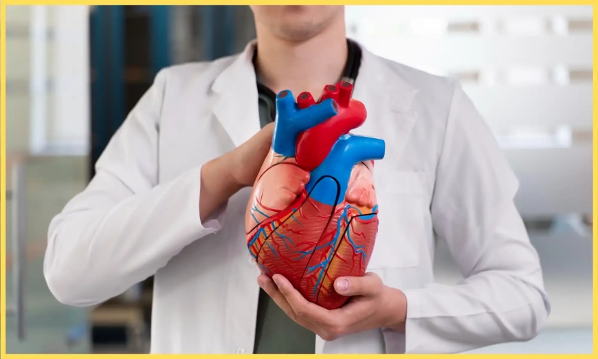 Trusted by Thousands: Discover the Best Urologist in Jaipur for You