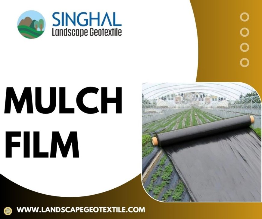 How Mulch Film Increases Farm Yield and Weed Suppression