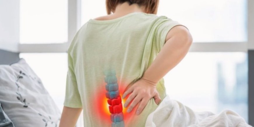Preventive Tips from the Best Spine Doctor in Delhi for Those with a Family History of Slip Disc