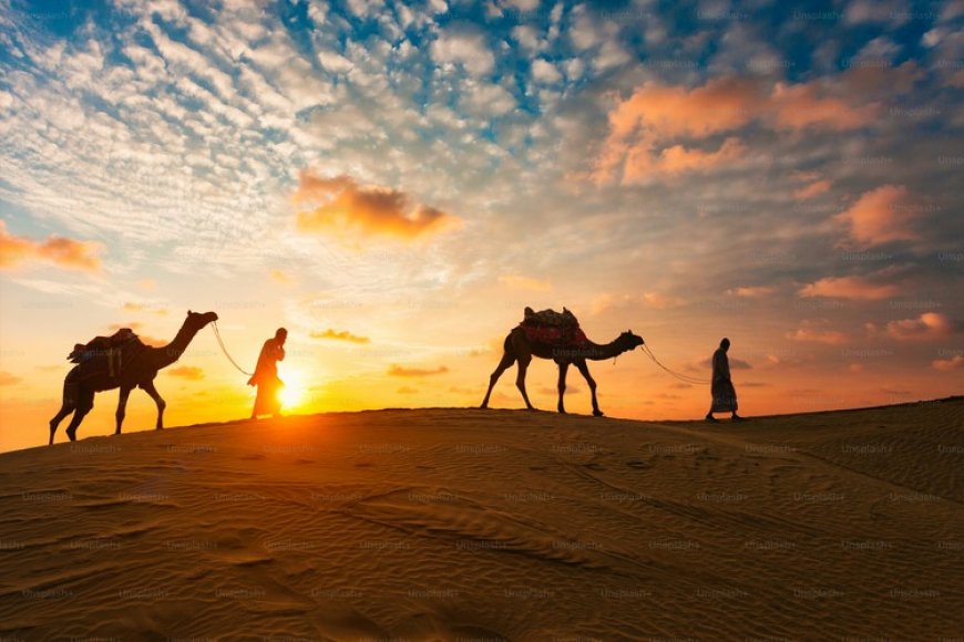 Self Drive vs Guided Desert Safari – Which is Better?