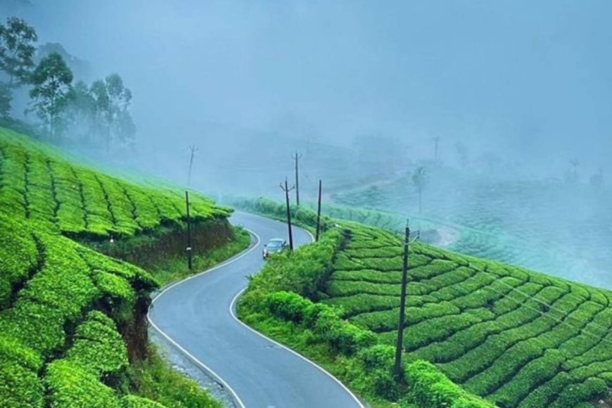 Unwind in the Hills: Your Ideal Munnar Package for a Short Getaway