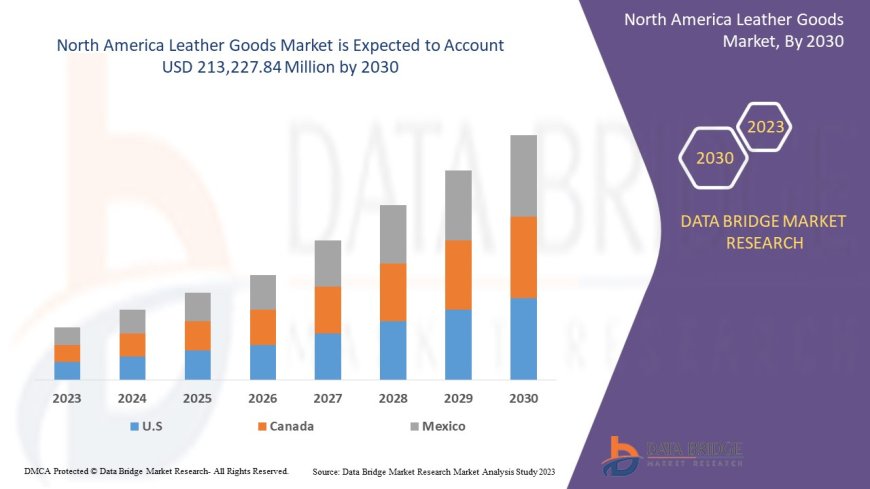 North America Leather Goods Market: Insights and Competitive Analysis