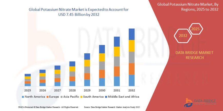 Potassium Nitrate Market Sees Growth Driven by Agriculture and Fireworks Sectors