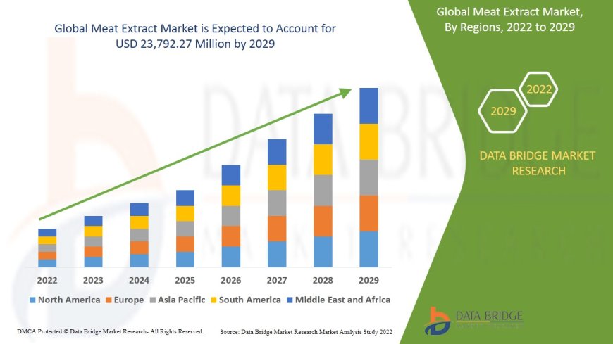Meat Extract Market Analysis On Size and Industry Demand 2029