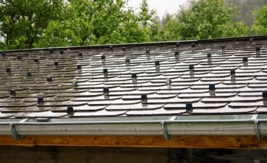 Why You Should Hire a Trusted Bellingham Roofer for Your Next Project