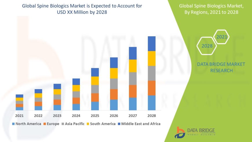 Spine Biologics Market Trends, Insights and Future Outlook