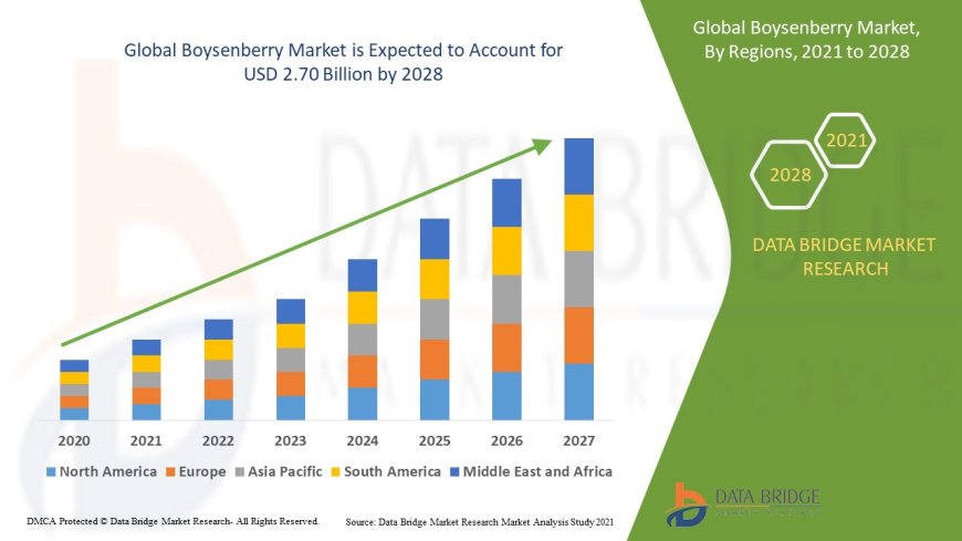 Boysenberry Market Overview: Key Drivers and Challenges