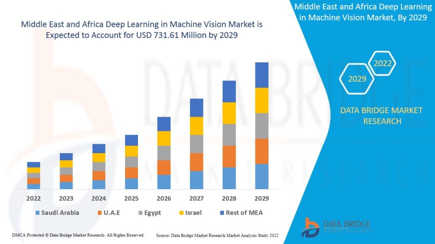 Middle East and Africa Deep Learning in Machine Vision Market Growth and Future Trends